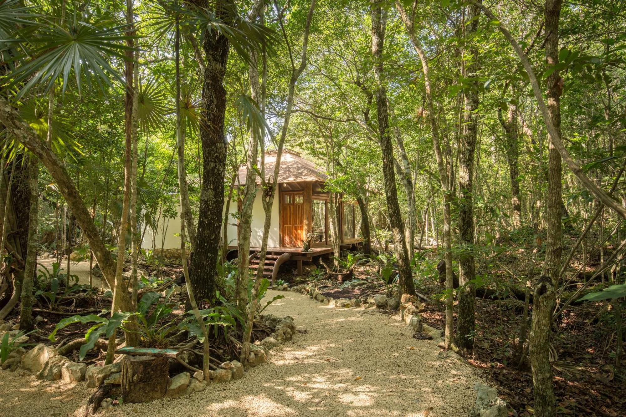 Вилла Pepem Holistic Experience - Peaceful Retreat Near Tulum (Adults Only) Экстерьер фото