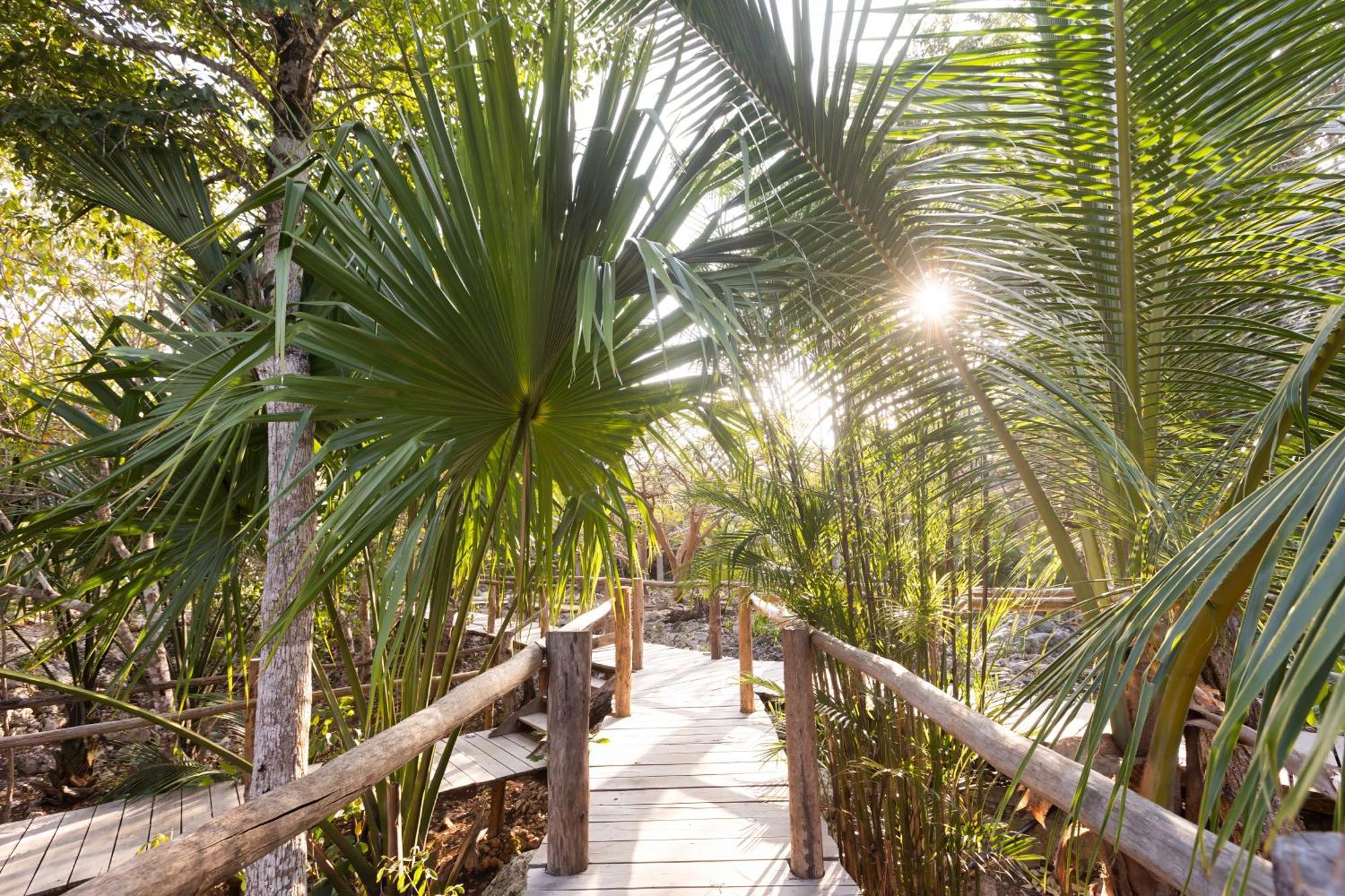 Вилла Pepem Holistic Experience - Peaceful Retreat Near Tulum (Adults Only) Экстерьер фото